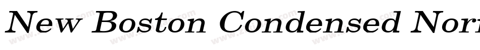 New Boston Condensed Normal字体转换